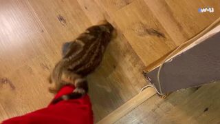 Extreme pussy eating with Zoey Paige